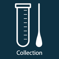 Collection